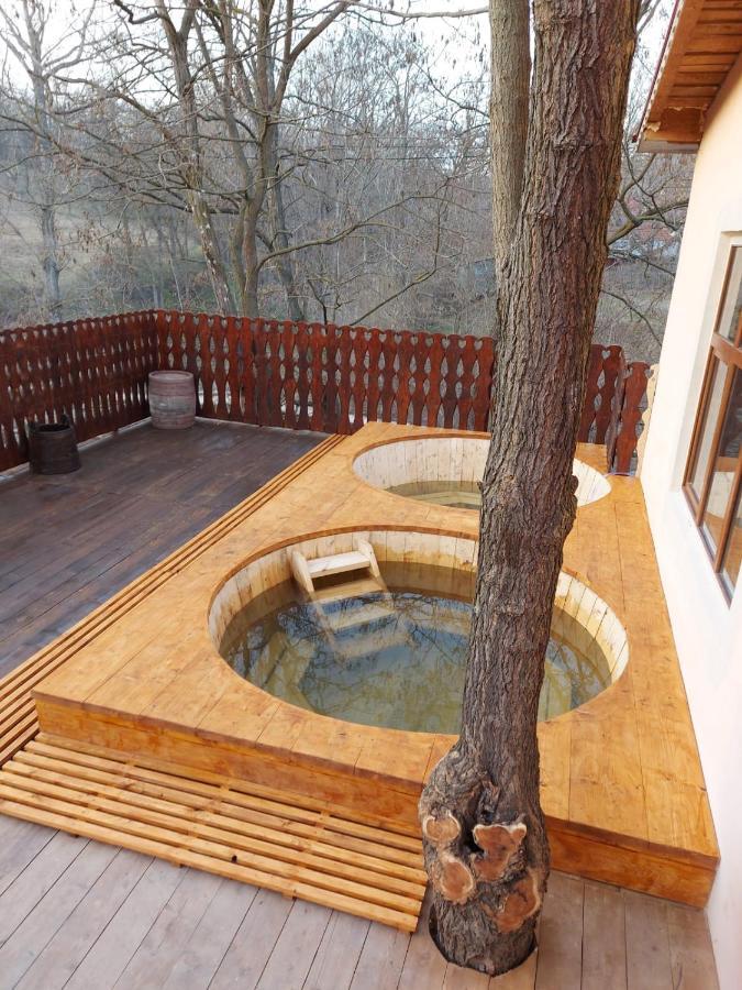 Guest house Casa Pedro