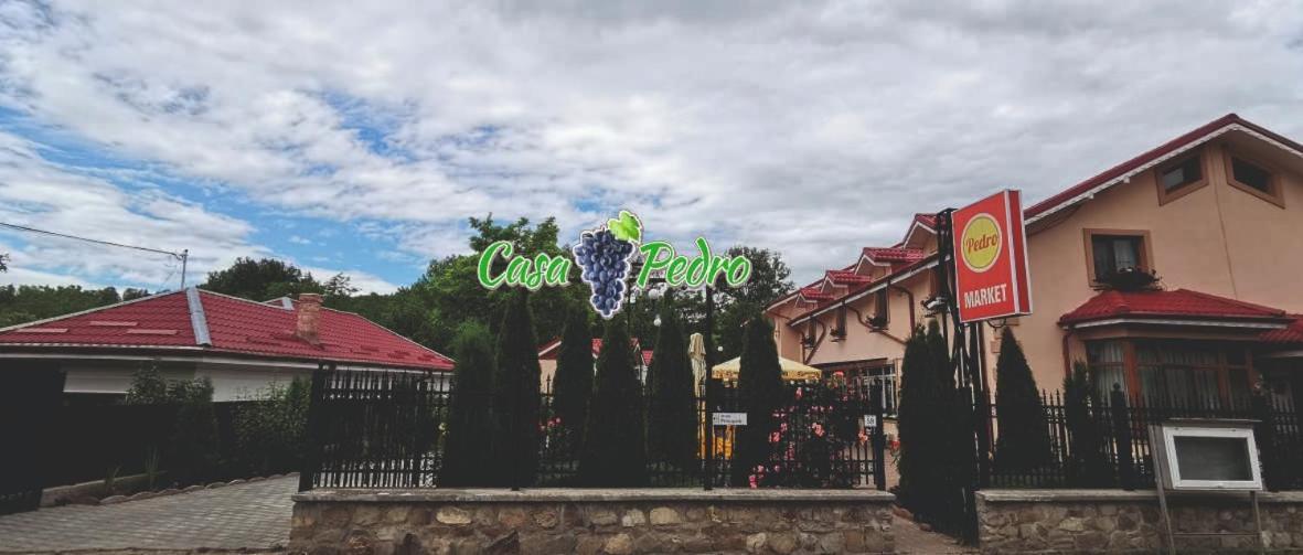 Guest house Casa Pedro *